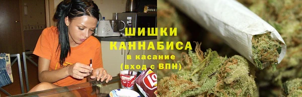 дмт Богданович